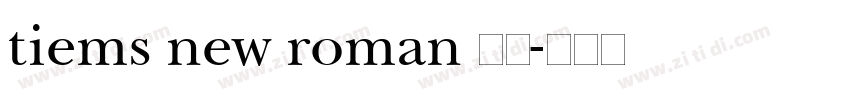 tiems new roman 斜体字体转换